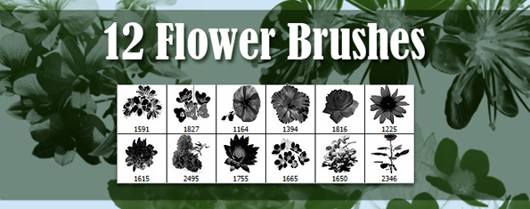 Brush photoshop 12 Flowers Brushes