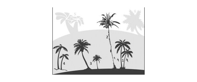 brush photoshop Palm Trees