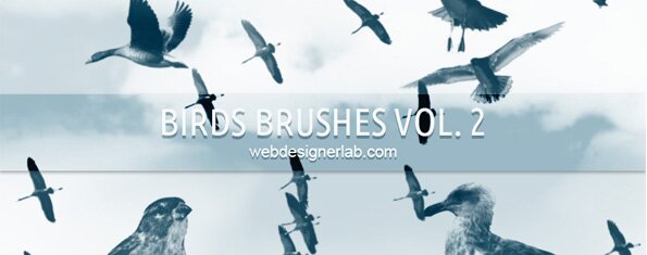 Brush photoshop Birds Brushes