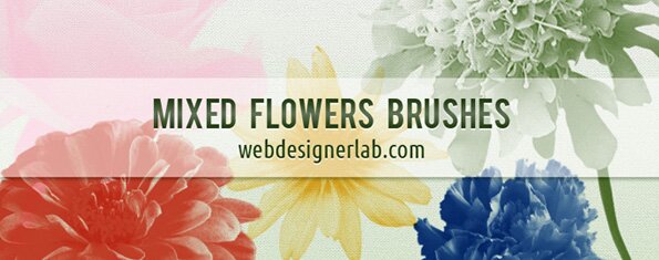 Brush photoshop Mixed Flowers Brushes