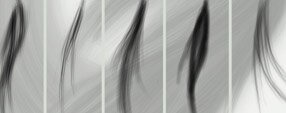Brush photoshop Hair brush set