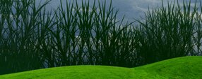 Brush photoshop GRASS BRUSH