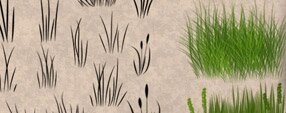 Brush photoshop grasses